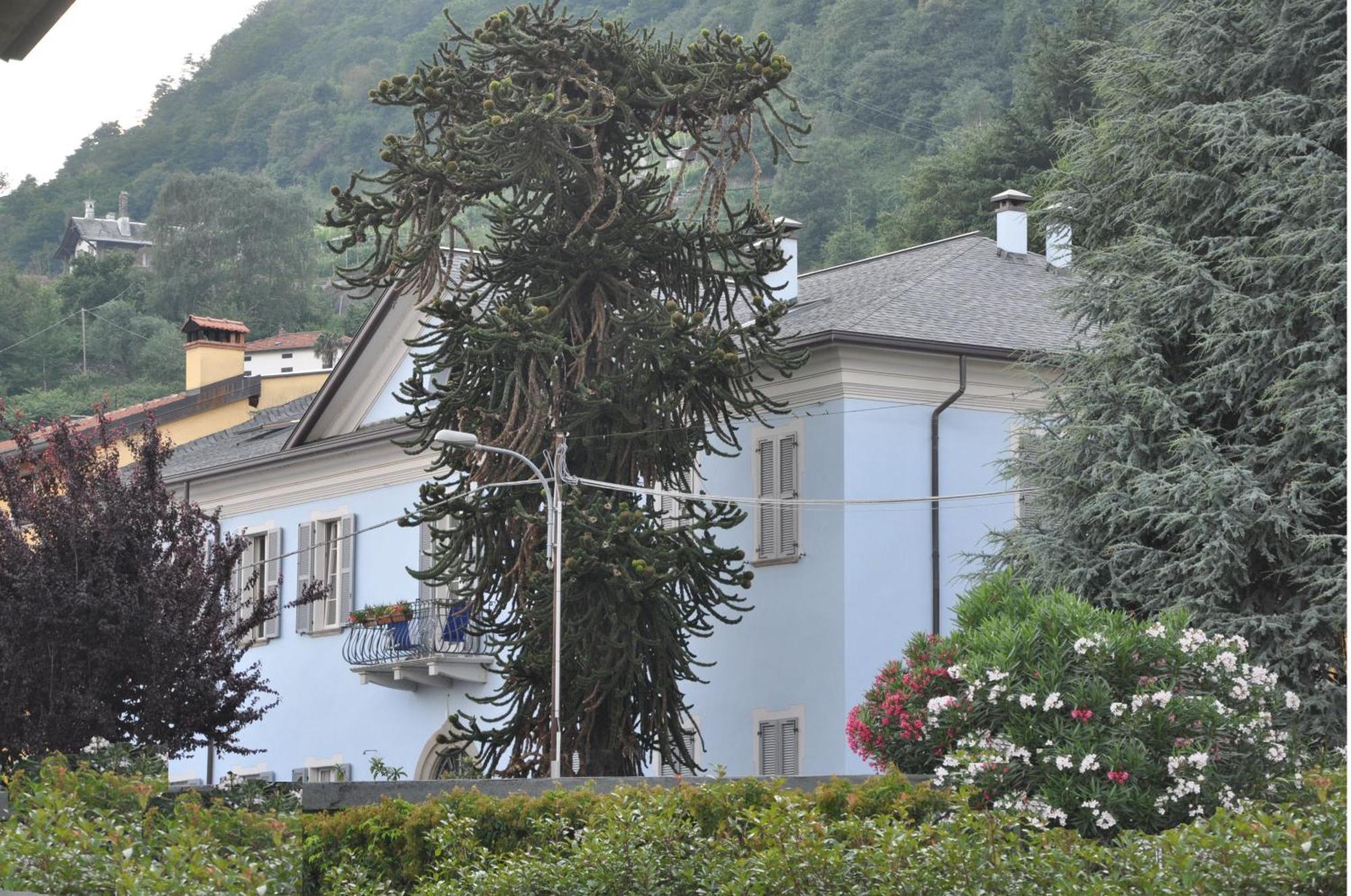 Villa Annamaria B&B Домазо Екстер'єр фото